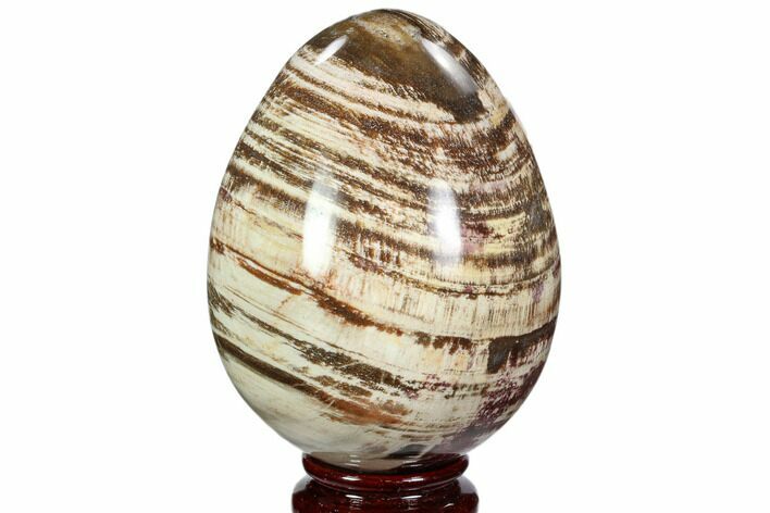 Colorful, Polished Petrified Wood Egg - Triassic #107396